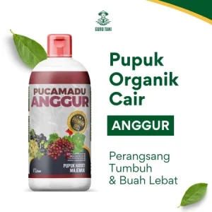 PUCAMADU | POC Anggur | Pelebat Buah dan Penyubur Tanaman