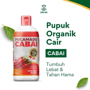 PUCAMADU | POC Cabai | Pelebat Buah dan Penyubur Tanaman