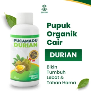 PUCAMADU | POC Durian | Pelebat Buah dan Penyubur Tanaman
