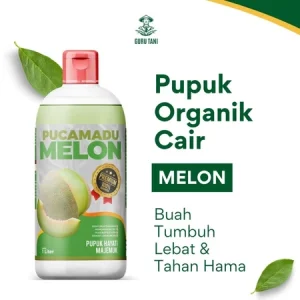 PUCAMADU | POC Melon | Pelebat Buah dan Penyubur Tanaman