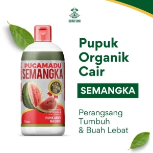 PUCAMADU | POC Semangka | Pelebat Buah dan Penyubur Tanaman